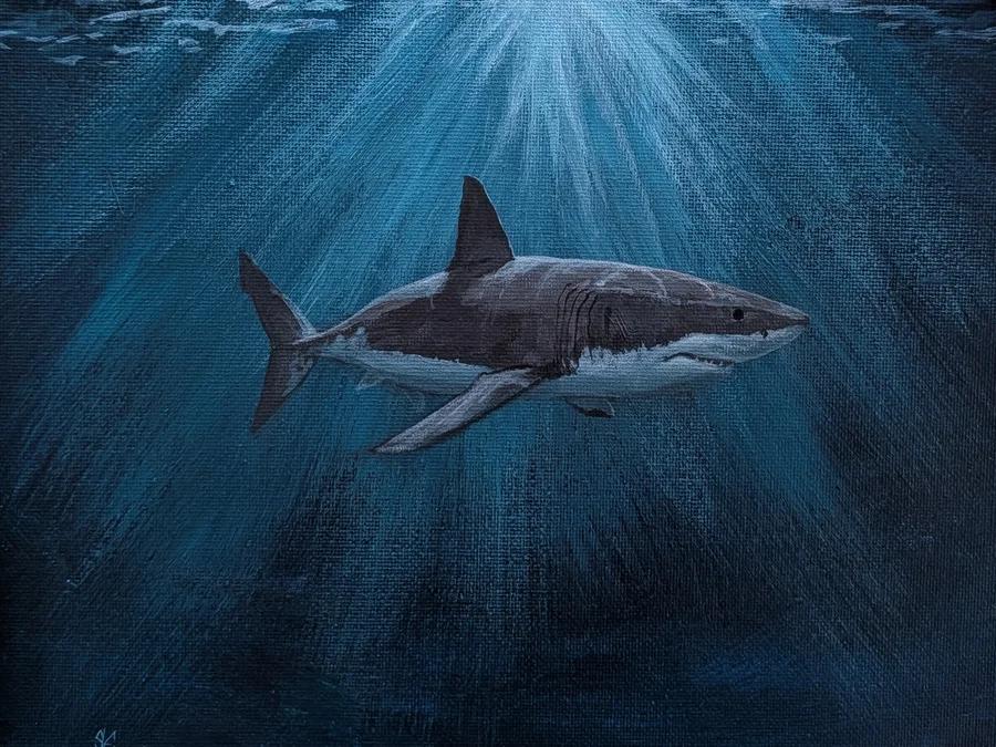 Great White Shark