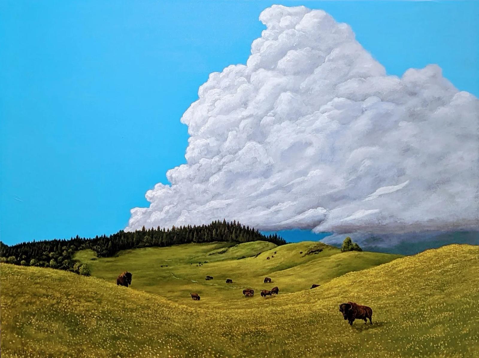 American Bison