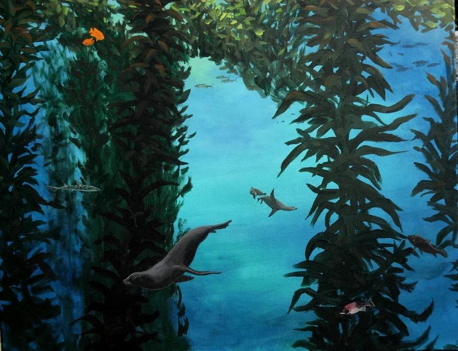 Kelp Forest 