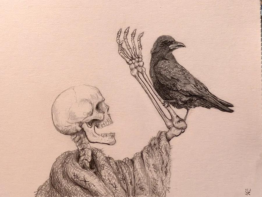Birdwatcher: Interaction 