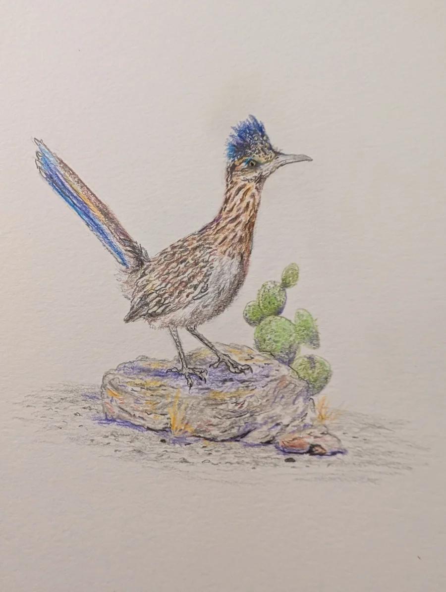 Roadrunner 