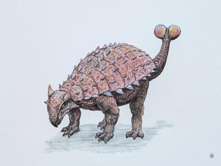 Ankylosaurus 