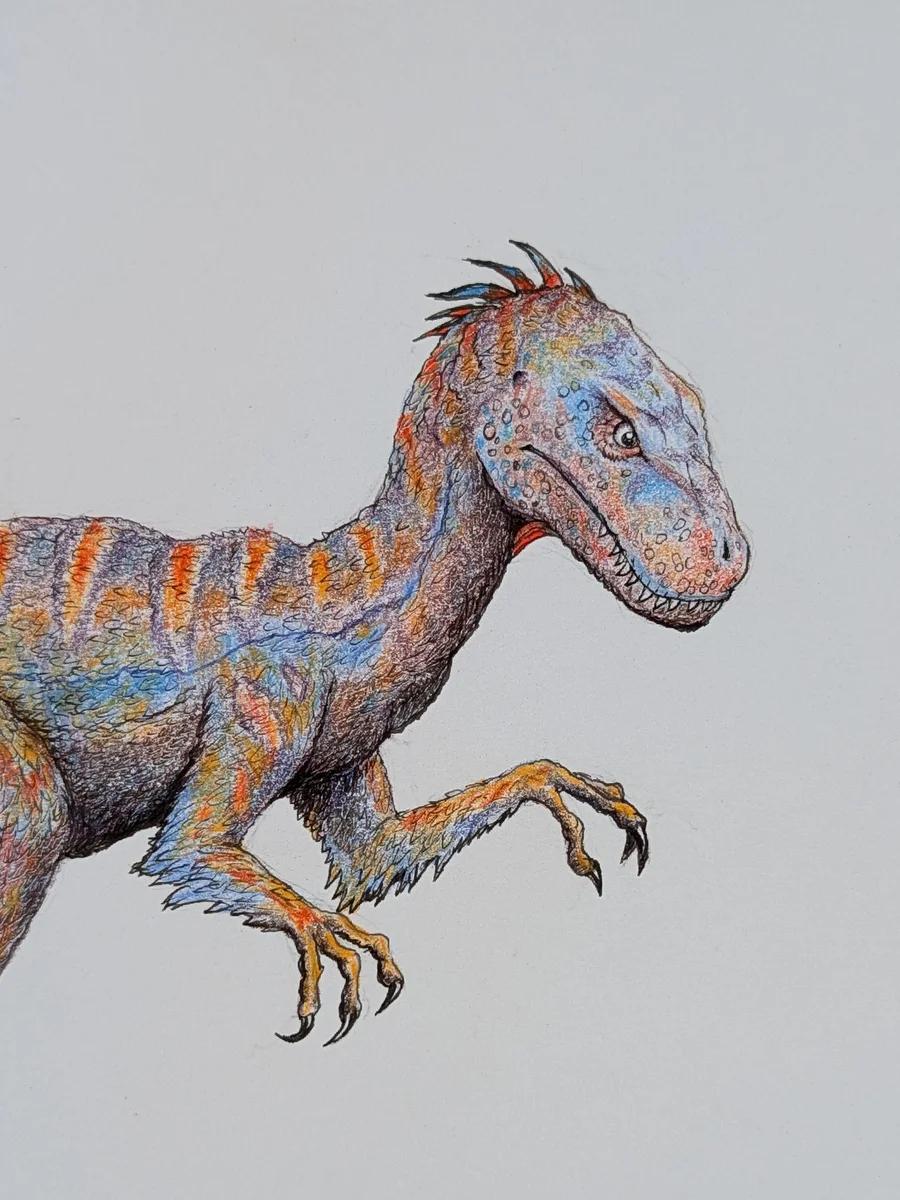 Utah Raptor 