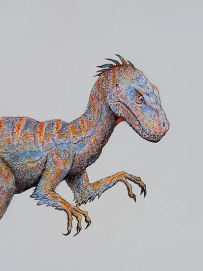 Utah Raptor 