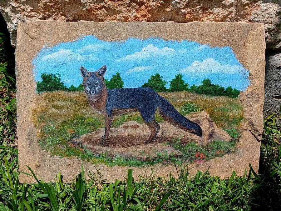 Grey Fox 