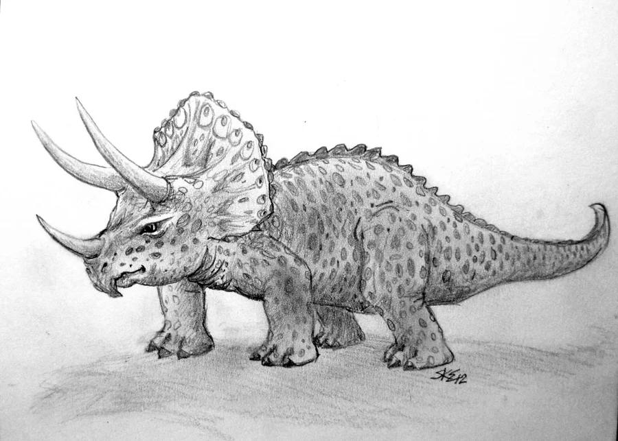 Triceratops 