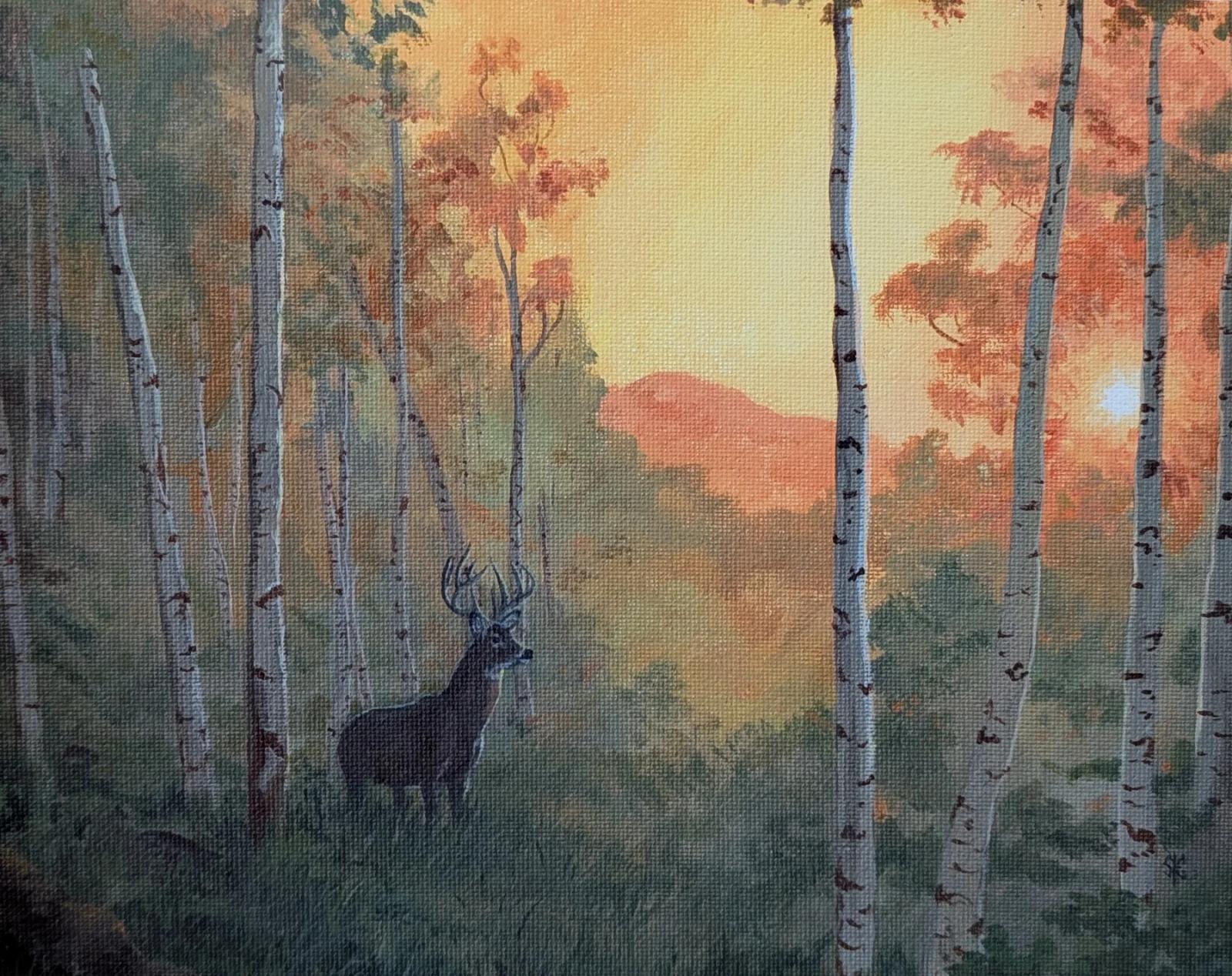Deer at Sunrise 