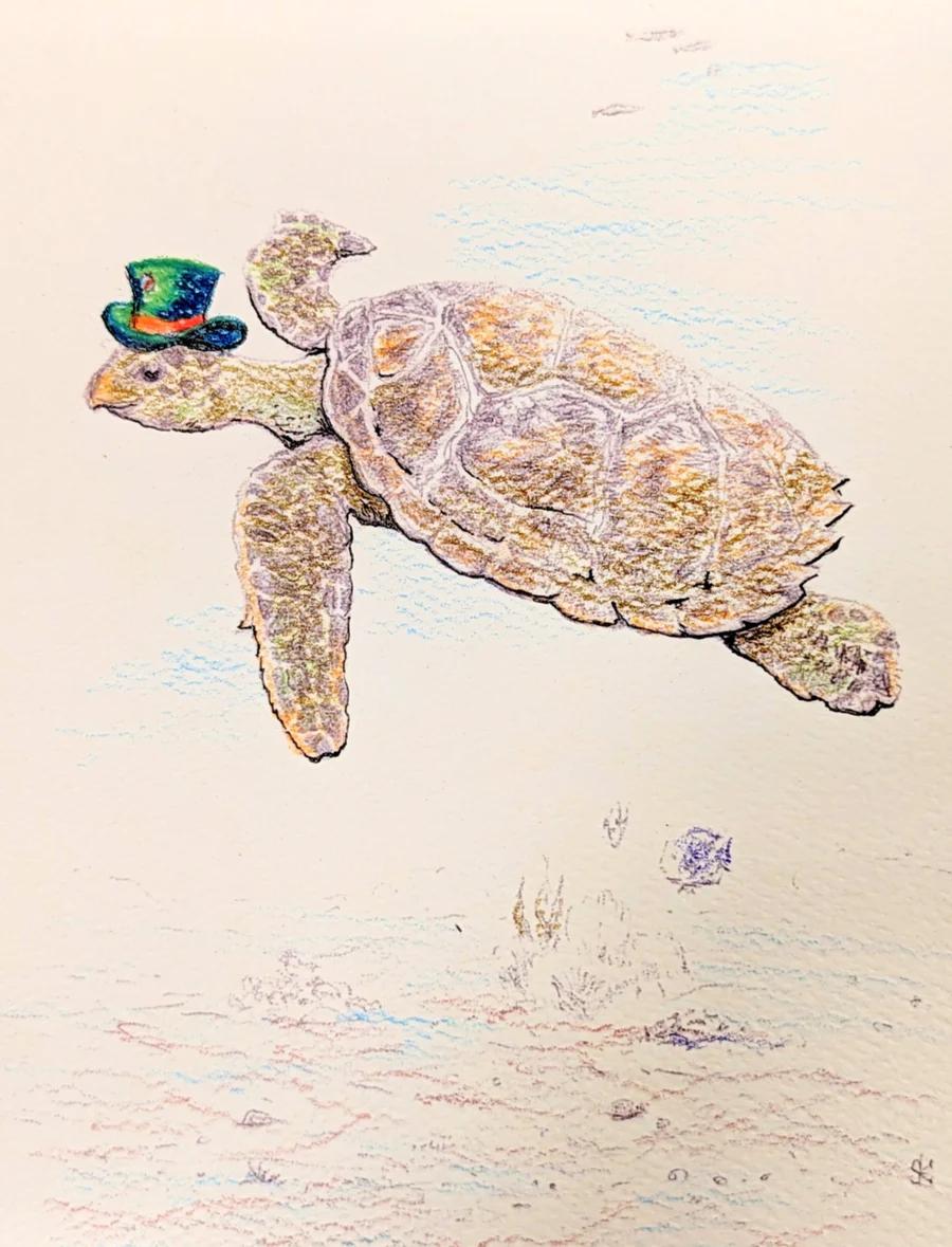Hatter Turtle 