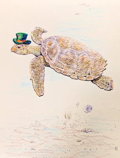 Hatter Turtle 