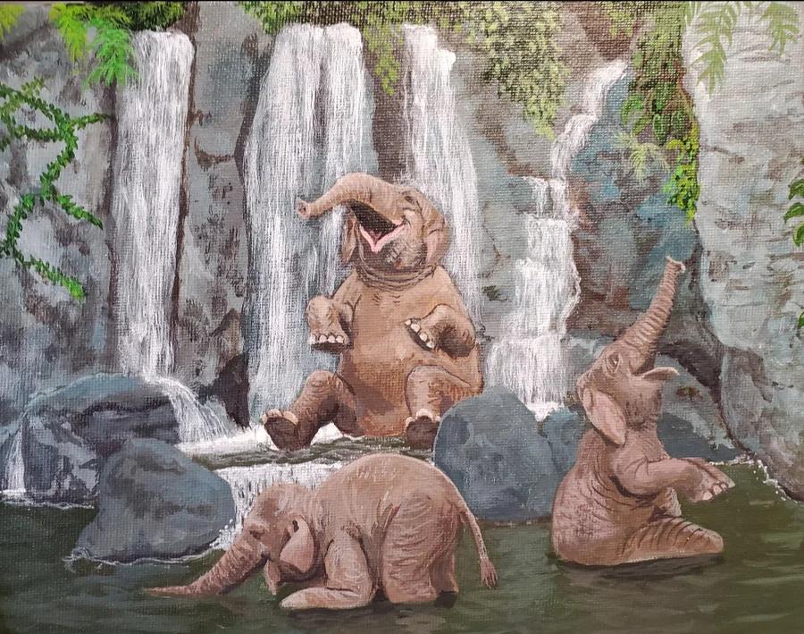 Elephant Pool