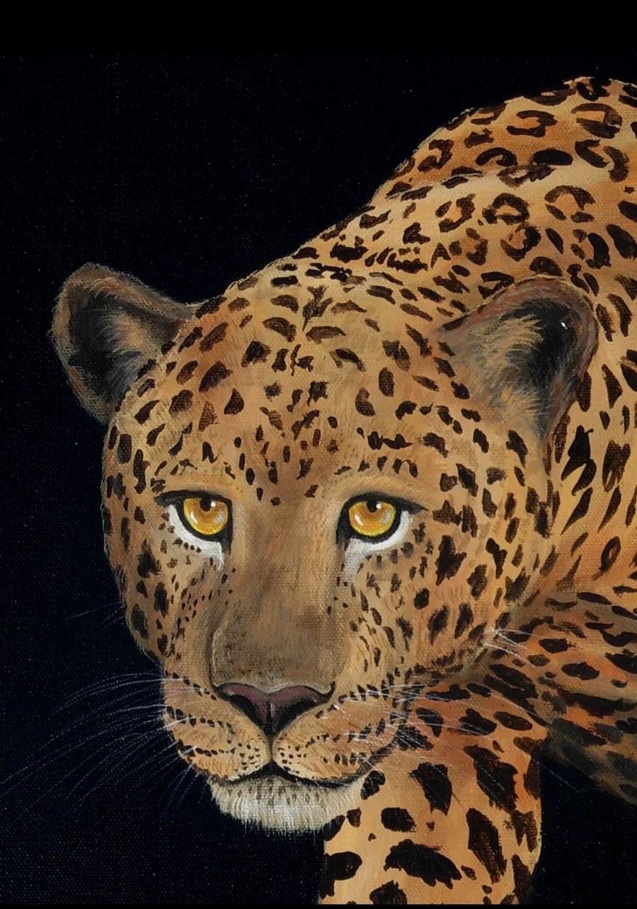 Night Leopard 