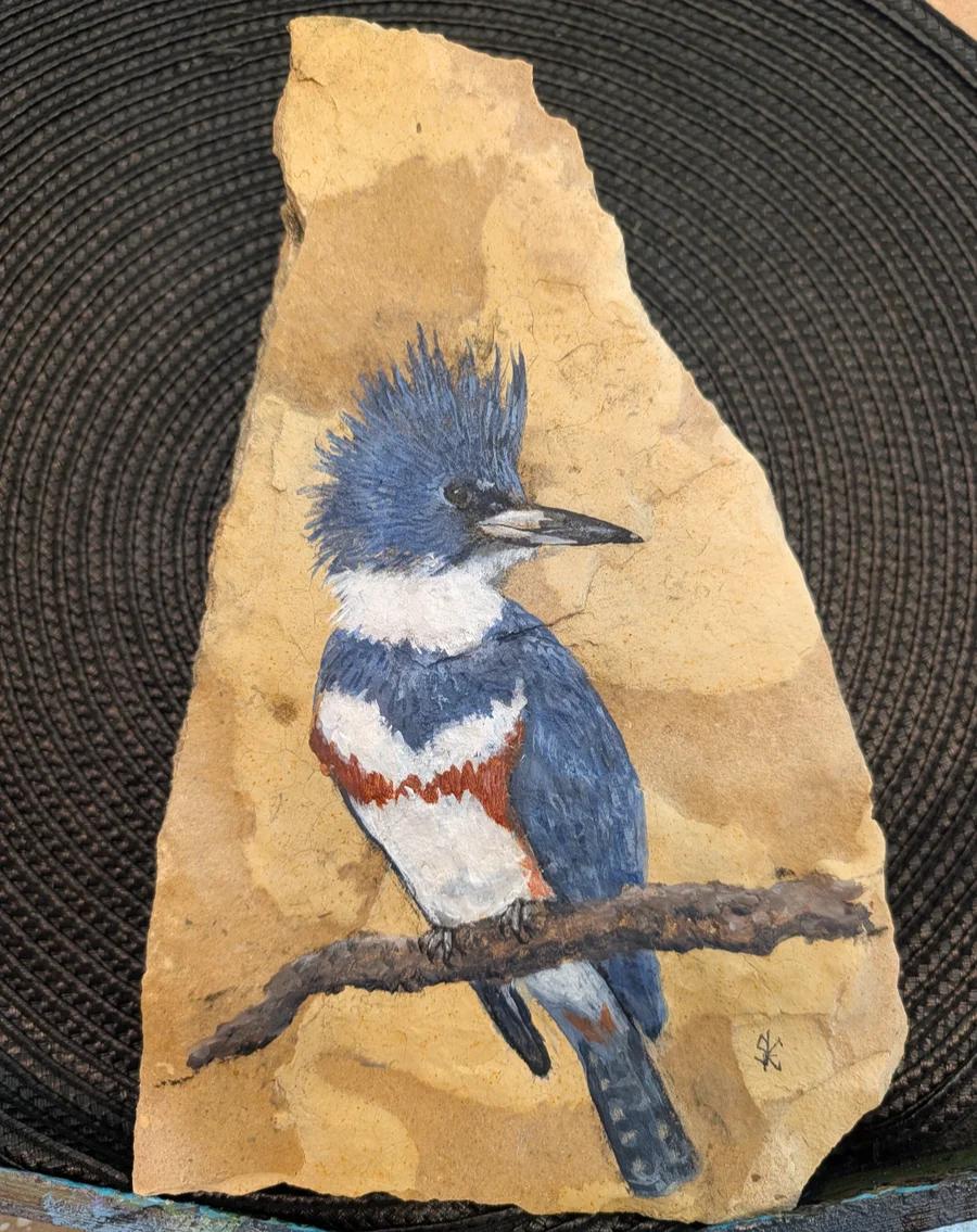 Kingfisher 
