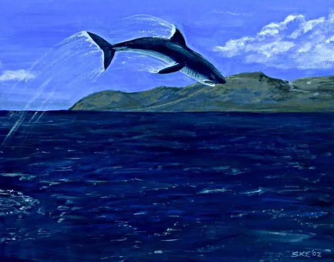 Mako Shark Leap
