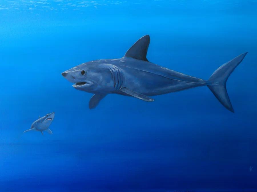 Makos