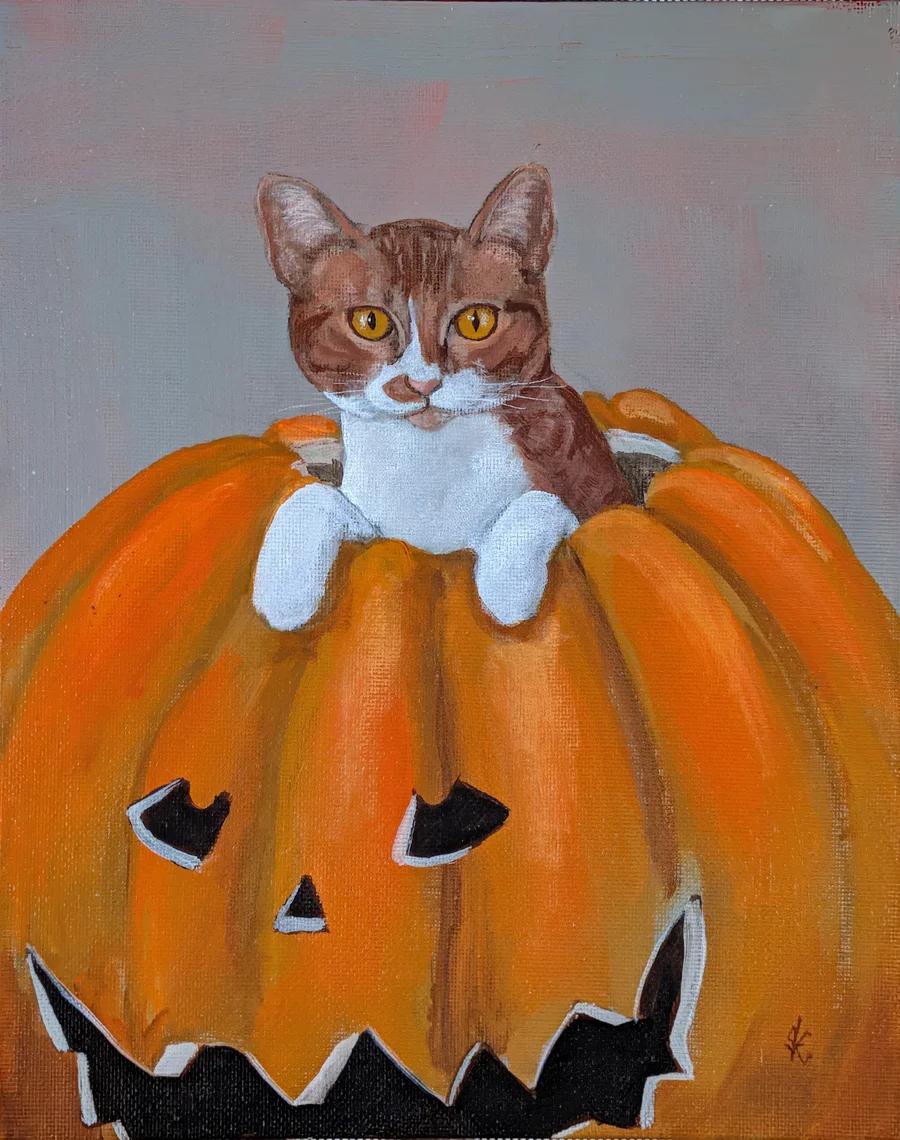 Fitty Fitty's Pumpkin 