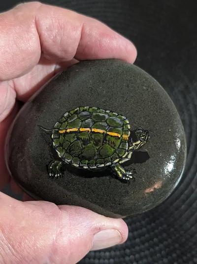 ANIMALS AND WILDLIFE 